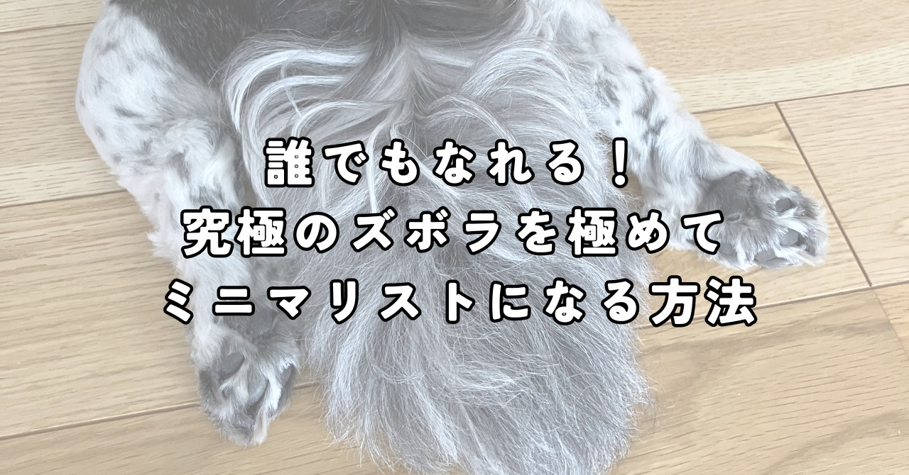 ズボラ　ミニマリスト　アイキャッチ